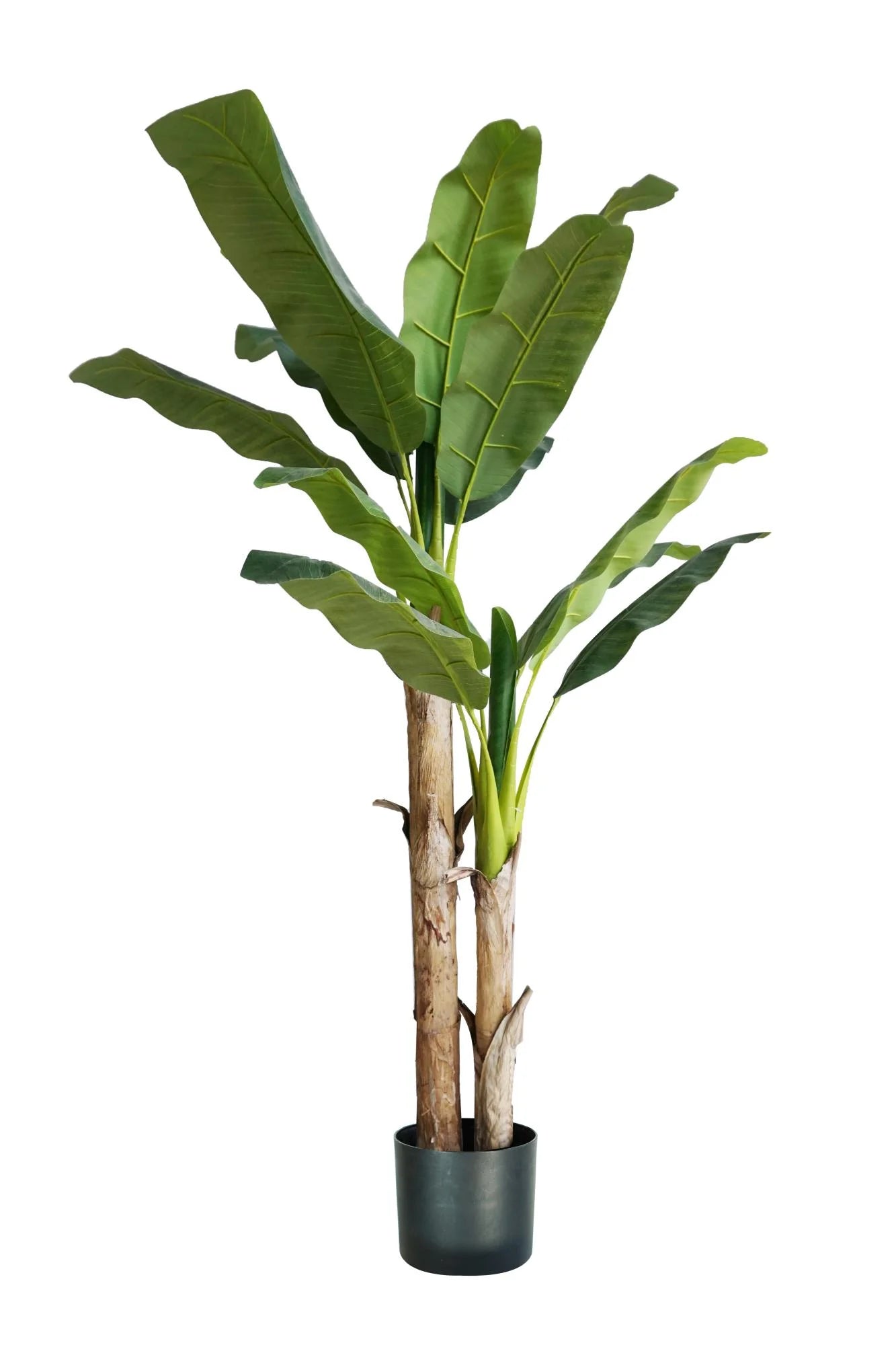 PLANTA ARTIFICIAL PLATANO CLARO 1.60CM