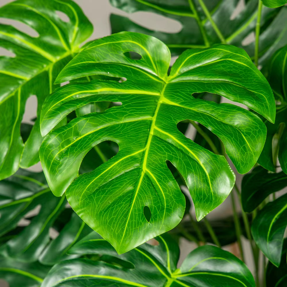 PLANTA ARTIFICIAL ESPALDA TORTUGA 1.90 CM