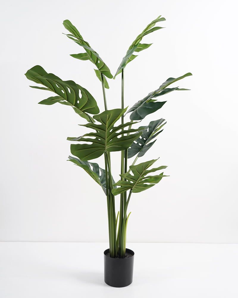 PLANTA ARTIFICIAL ESPALDA TORTUGA 1.90 CM